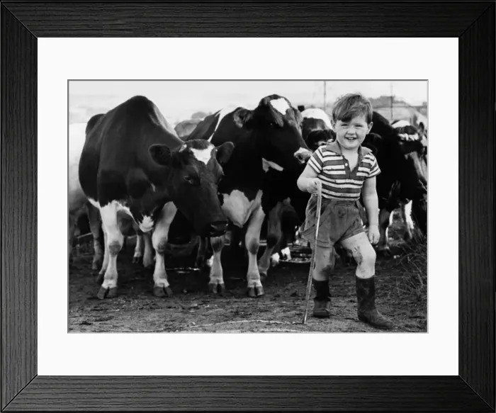 Framed Print : One and one make four for Tony - down on the Farm. Things are prospering down on Paradise Framed Print : One and one make four for Tony - down on the Farm. Things are prospering down on Paradise