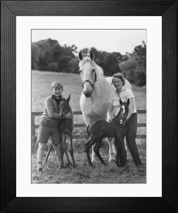 Framed Print : Animals - Children & Horses. July 1967 P000492 Framed Print : Animals - Children & Horses. July 1967 P000492