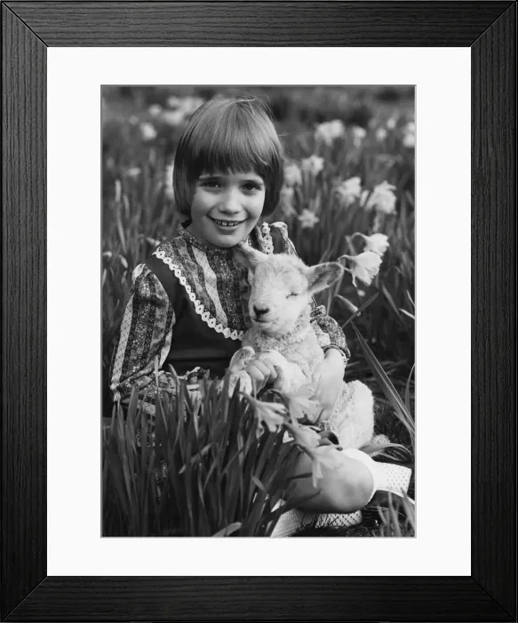 Framed Print : Animals - Children with Lambs. March 1981 P000499