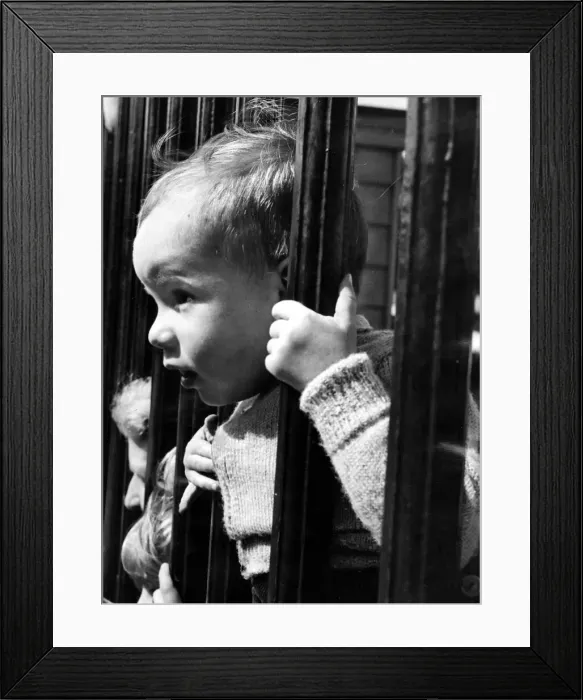 Framed Print : Queen Elizabeth II Coronation 1953 Tiny two year old Ian Rosser of Shepherds Bush Framed Print : Queen Elizabeth II Coronation 1953 Tiny two year old Ian Rosser of Shepherds Bush