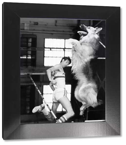 Animals - Dogs Humour. November 1976 P000599