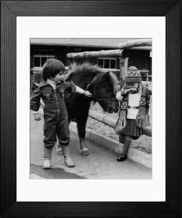 Framed Print : Animals - Children with Horses. October 1978 P000493 Framed Print : Animals - Children with Horses. October 1978 P000493