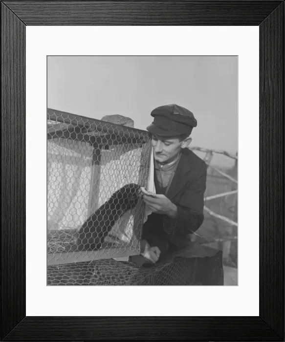 Framed Print : DM Photographer Ellman Birmingham Harold Leach, Engine Driver, breeds mink