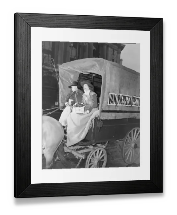 Framed Print : Bennett Staff Phographer April 6th Voortrekkers covered wagon takes grapes to St Framed Print : Bennett Staff Phographer April 6th Voortrekkers covered wagon takes grapes to St