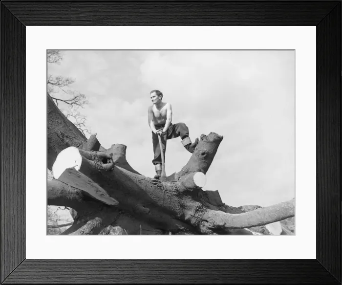 Framed Print : Forestry Training School Paul Sladen -- Trainee Lumberjack with axe Framed Print : Forestry Training School Paul Sladen -- Trainee Lumberjack with axe