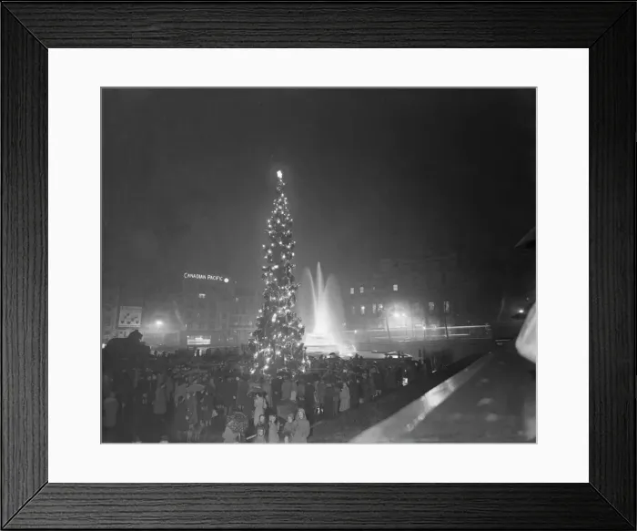 Framed Print : Norwegian Xmas Tree presented by people of Oslo, and carol singing Framed Print : Norwegian Xmas Tree presented by people of Oslo, and carol singing