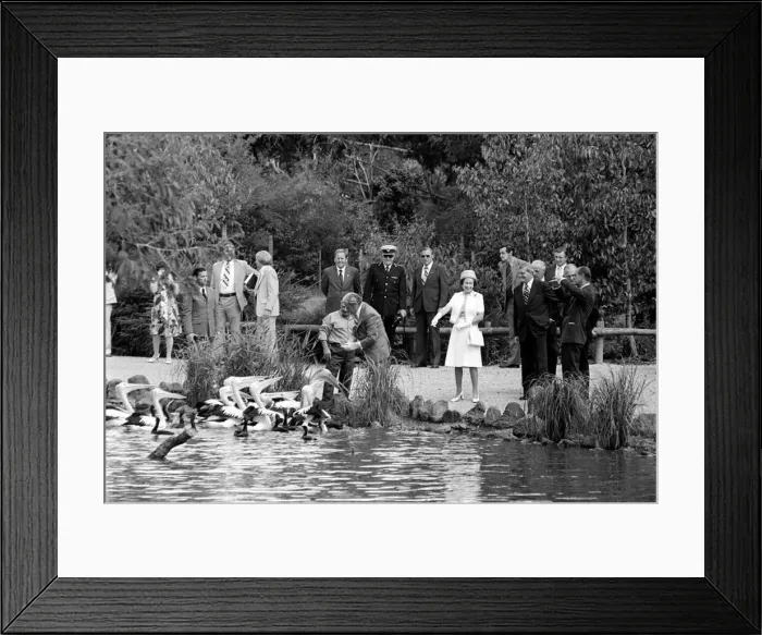  : Royal Silver Jubilee Tour 1977 The Queen finds the Pelicans