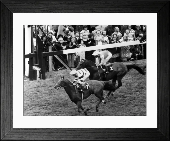 Framed Print : Royal ascot gold cup day 1st - Sagaro (L Piggott) 2nd - Crash Course ( B Taylor Framed Print : Royal ascot gold cup day 1st - Sagaro (L Piggott) 2nd - Crash Course ( B Taylor