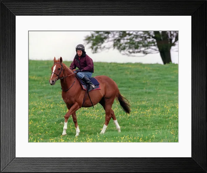 Framed Print : Jockey John McAuley on race horse Serious Hurry, June 1988 Framed Print : Jockey John McAuley on race horse Serious Hurry, June 1988