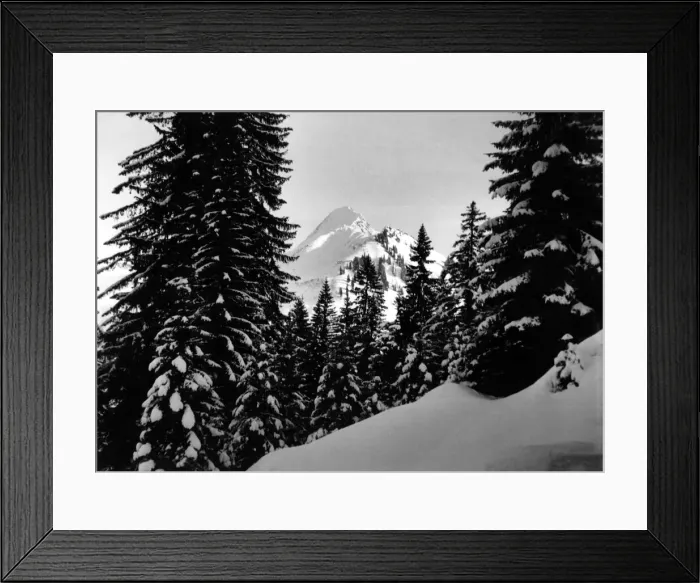 Framed Print : Zafernhorn peak in the Bregenz forest, Vorarlberg, Austria. Circa 1950 P000120 Framed Print : Zafernhorn peak in the Bregenz forest, Vorarlberg, Austria. Circa 1950 P000120