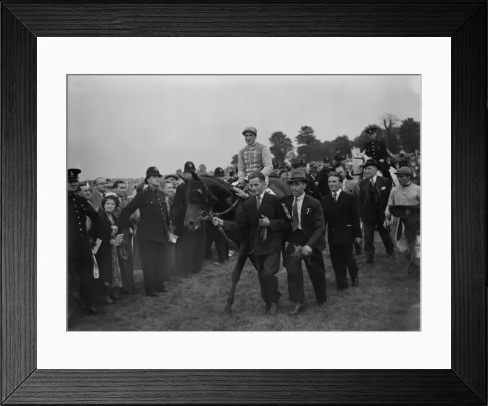 Framed Print : St Leger - Ridge Wood riden by Jockey Michael Beary is led into the winners enclosure