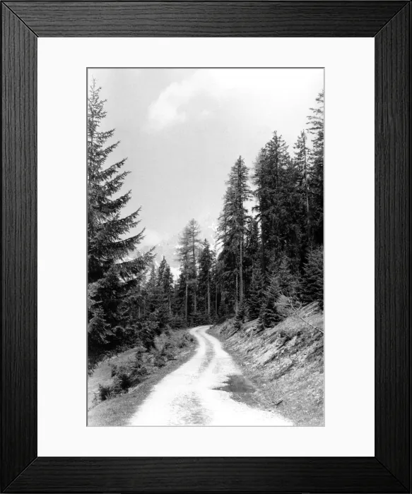 Framed Print : Forest path near Filzmoos, Austria Jon (H). P000166 Circa 1950