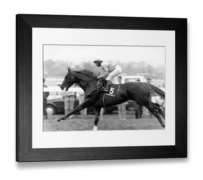 Framed Print : SPT. Horse Racing, Race Horses iNI. July 1989 P000036