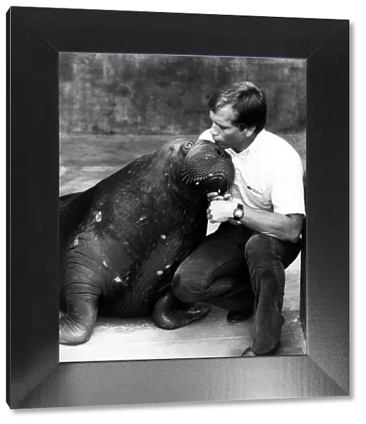 Best of Friends... Bristles the Walrus with curator Glen. September 1984 P000106