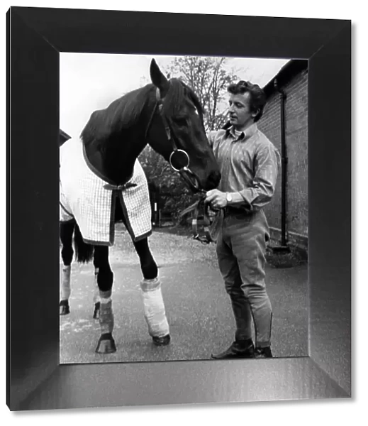 Mill Reef with the stable lad John Hallum walking round the stables at Kingsclere today