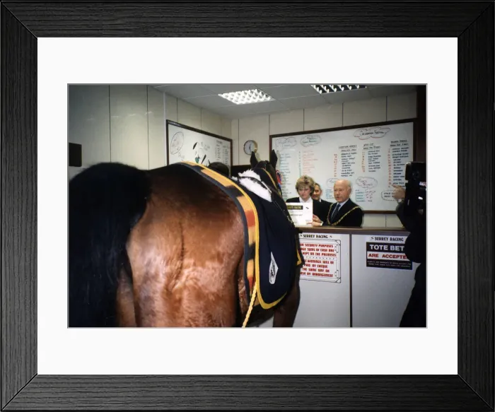 Framed Print : Red Rum making a personal appearance at The Surrey Racing Bookmakers in Woking Surrey