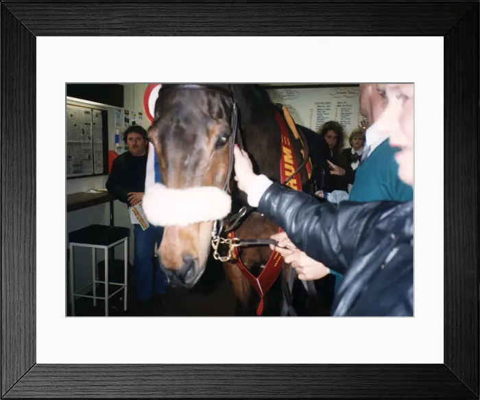 Framed Print : Red Rum makes a personal appearance at Surrey Racing Bookmakers in Woking Surrey in March Framed Print : Red Rum makes a personal appearance at Surrey Racing Bookmakers in Woking Surrey in March