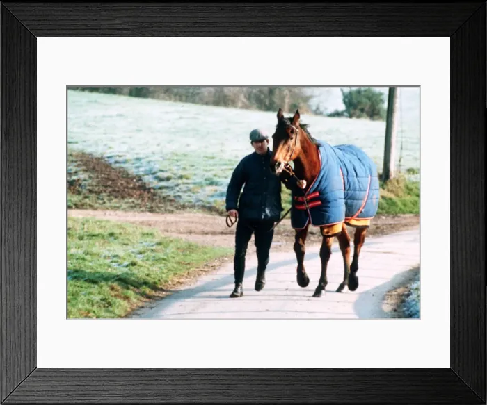 Framed Print : Red Rum racehorse 1992