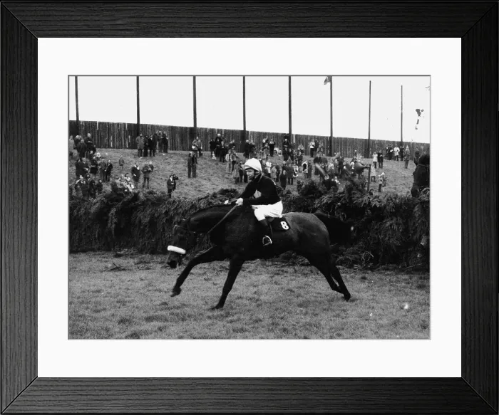 Framed Print : Grand National 1973 The winner Red Rum ridden by Brian Fletcher Framed Print : Grand National 1973 The winner Red Rum ridden by Brian Fletcher
