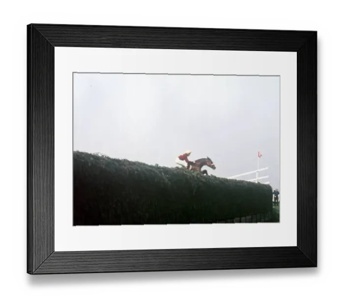 Framed Print : Red Rum and jockey Brian Fletcher win world-famous chase at Aintree Racecourse Framed Print : Red Rum and jockey Brian Fletcher win world-famous chase at Aintree Racecourse