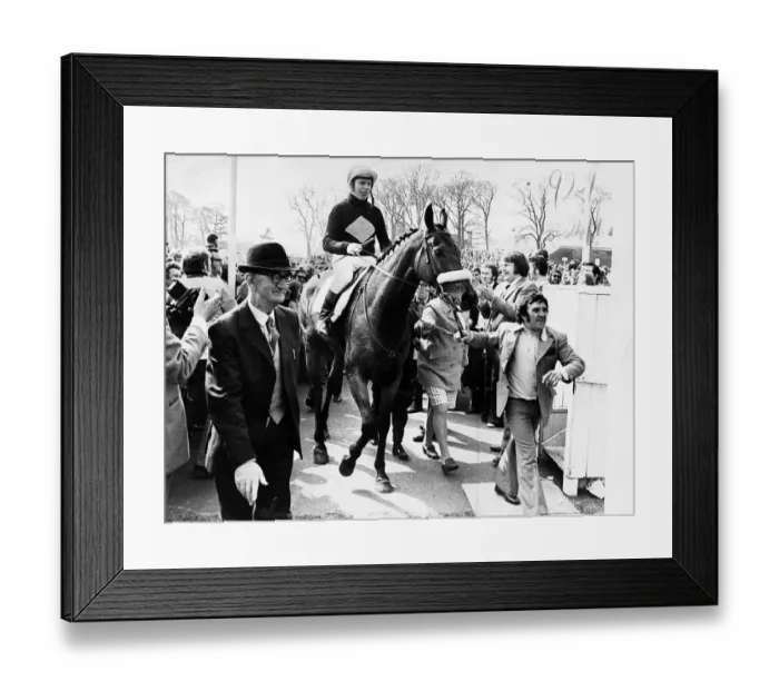 Framed Print : Red Rum racehorse jockey Brian Fletcher after unique Aintree Ayr Grand national Double Framed Print : Red Rum racehorse jockey Brian Fletcher after unique Aintree Ayr Grand national Double