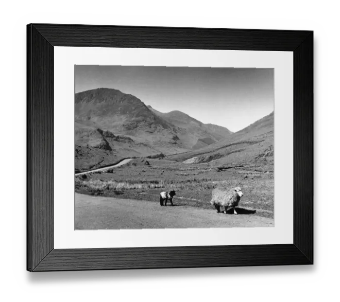 Framed Print : The Honester Pass