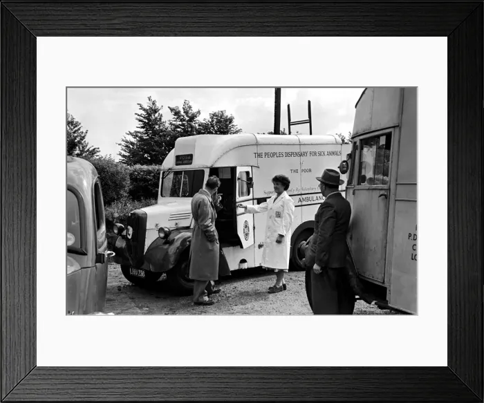 Framed Print : The Peoples dispensary for sick animals - PDSA Centre. July 1952 C3468 Framed Print : The Peoples dispensary for sick animals - PDSA Centre. July 1952 C3468
