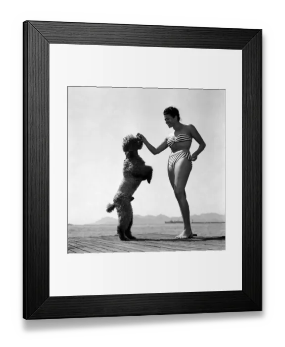 Framed Print : Actress Charlotte Laing seen here with her poodle dog. D3118-023 Framed Print : Actress Charlotte Laing seen here with her poodle dog. D3118-023