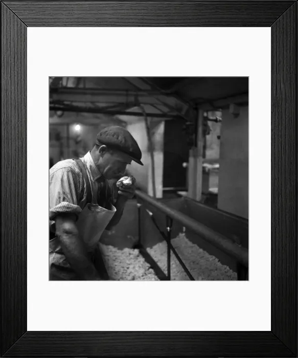 Framed Print : Food, cheese. Jack Wilding, head cheesemaker at Minsterley Creameries Framed Print : Food, cheese. Jack Wilding, head cheesemaker at Minsterley Creameries