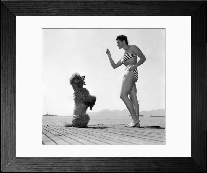 Framed Print : Actress Charlotte Laing seen here with her poodle dog. D3118-024 Framed Print : Actress Charlotte Laing seen here with her poodle dog. D3118-024