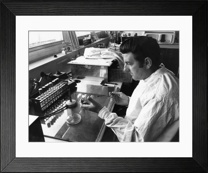 Framed Print : Scientists at Porton Down are busy in a fight to find the causes Framed Print : Scientists at Porton Down are busy in a fight to find the causes