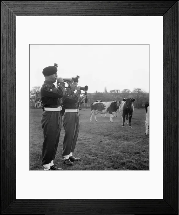 Framed Print : Fusiliers McGinty and Swaddle at practise on the local moor. May 1953 D2454 Framed Print : Fusiliers McGinty and Swaddle at practise on the local moor. May 1953 D2454