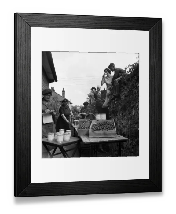 Framed Print : WVS canning centre at Lyminge, Folkestone, Kent. Women turning out 250 cans of fruit a Framed Print : WVS canning centre at Lyminge, Folkestone, Kent. Women turning out 250 cans of fruit a
