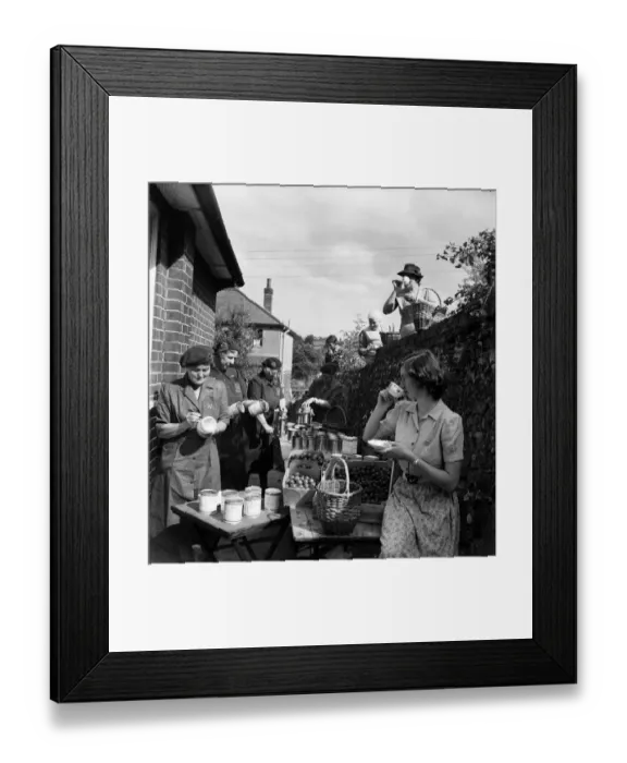 Framed Print : WVS canning centre at Lyminge, Folkestone, Kent. Women turning out 250 cans of fruit a Framed Print : WVS canning centre at Lyminge, Folkestone, Kent. Women turning out 250 cans of fruit a
