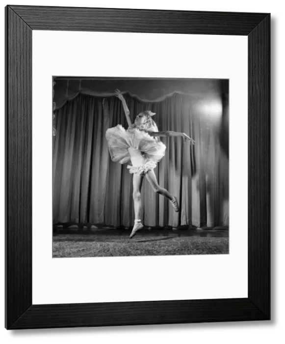 Framed Print : Janice Graham 8 Year Old girl ballet dancer. March 1953 D1501 Framed Print : Janice Graham 8 Year Old girl ballet dancer. March 1953 D1501