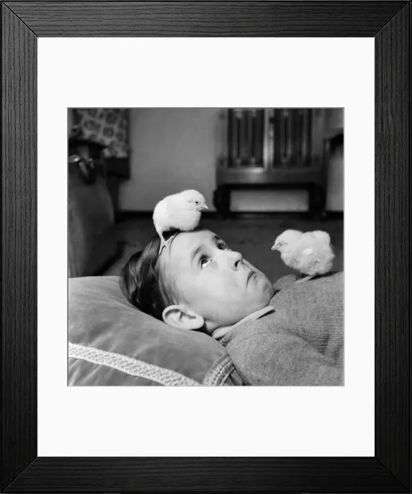 Framed Print : There I was having an afternoon nap, and when I woke up, I thought I must be in dreamland