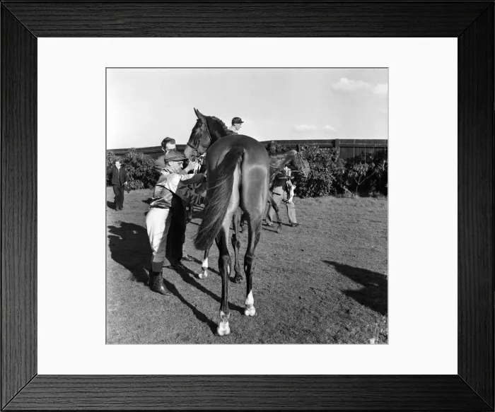 Framed Print : Gordon Richards at Kempton Park. April 1953 D1717-003