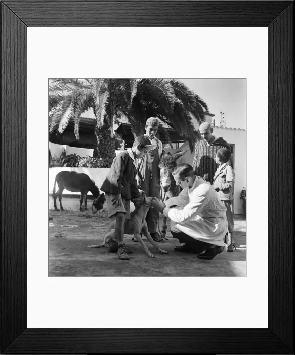 Framed Print : P. D. S. A unit working in Tangier. January 1953 D216 Local Caption Morocco Framed Print : P. D. S. A unit working in Tangier. January 1953 D216 Local Caption Morocco