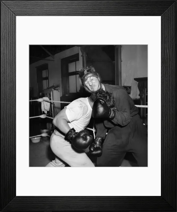 Framed Print : Boxer Don Cockell seen here Training in a Brighton Gym for his next fight his sparring Framed Print : Boxer Don Cockell seen here Training in a Brighton Gym for his next fight his sparring