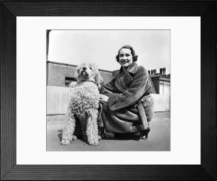 Framed Print : Model Pat Norris compares her warm toaster nylon fabric fur coat with the fur Framed Print : Model Pat Norris compares her warm toaster nylon fabric fur coat with the fur