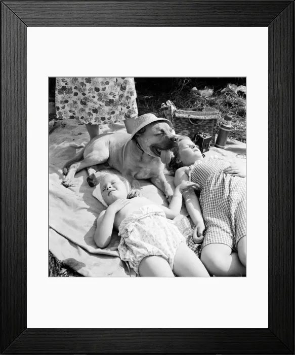 Framed Print : Children and dog at Runnymede enjoying the early summer sun. May 1953 D2774
