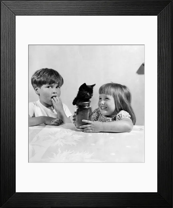 Framed Print : Children watch Bugsy the Kitten playing with a Jam jar. July 1953 D3499 Framed Print : Children watch Bugsy the Kitten playing with a Jam jar. July 1953 D3499