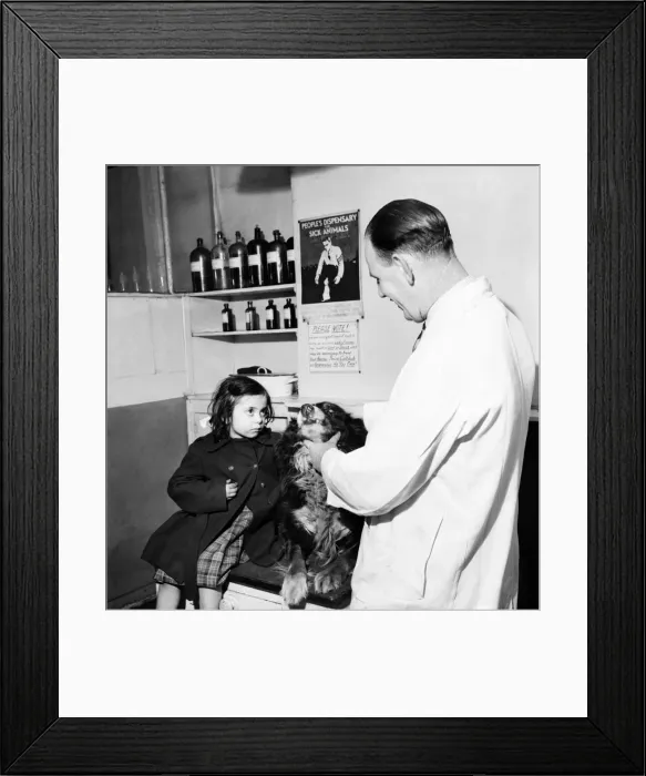 Framed Print : Helen with her pal Laddie'at the vets today. January 1953 D441 Framed Print : Helen with her pal Laddie'at the vets today. January 1953 D441