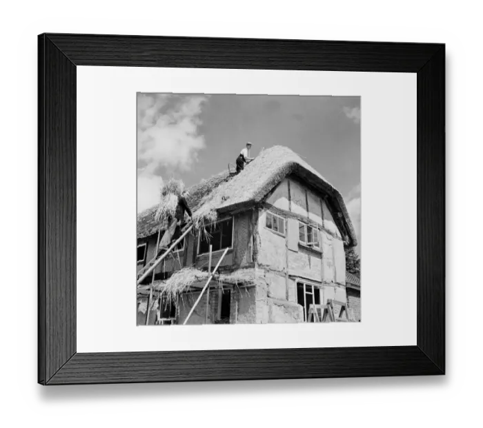 Framed Print : Mr Cecil Watson, and his son Stanley, the local thatchers