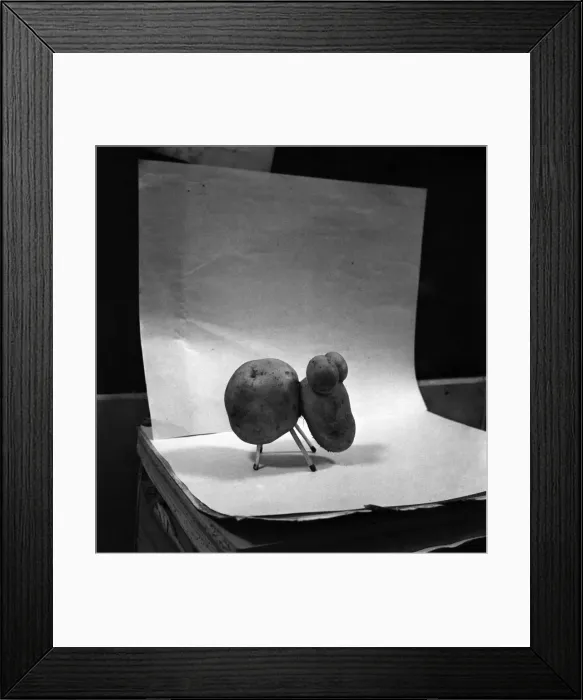 Framed Print : Potato shaped like a dog. January 1953 D486 Framed Print : Potato shaped like a dog. January 1953 D486
