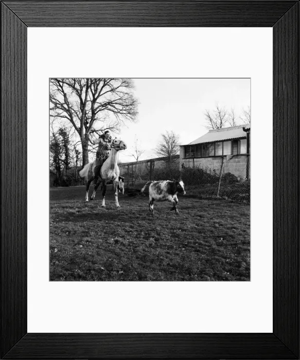 Framed Print : Ross Salmon English Cowboy. Febuary 1953 D935 Framed Print : Ross Salmon English Cowboy. Febuary 1953 D935