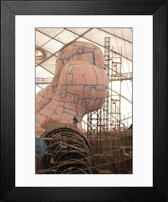 Framed Print : The body'covered in protective sheets to keep the pink tiles clean Framed Print : The body'covered in protective sheets to keep the pink tiles clean