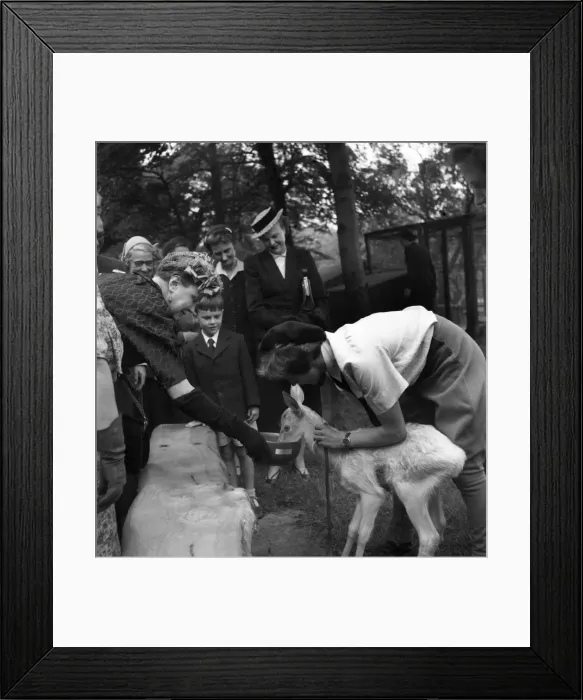 Framed Print : Pat Connes at Crystal Palace. D3448 Framed Print : Pat Connes at Crystal Palace. D3448