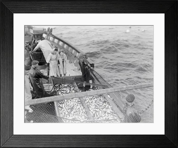 Framed Print : Herring Fishing fleet at Lerwick, Shetland Isles. 1950 Freda Adamson Framed Print : Herring Fishing fleet at Lerwick, Shetland Isles. 1950 Freda Adamson