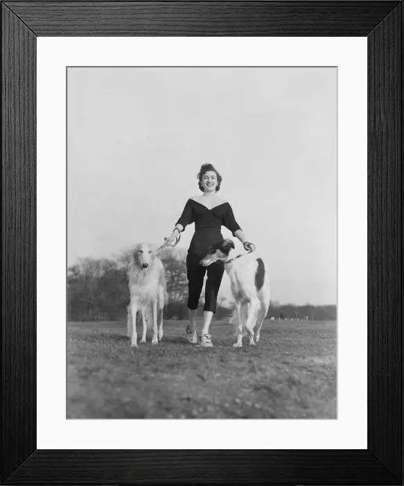 Framed Print : Zene Maishall, film actress, with Barzois dogs Viking and Rena Framed Print : Zene Maishall, film actress, with Barzois dogs Viking and Rena